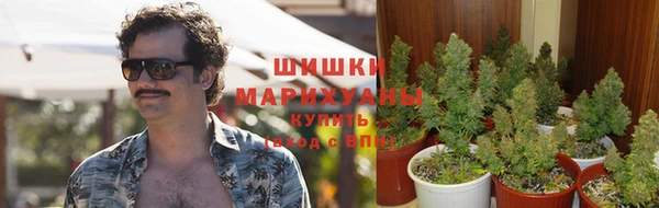 ПСИЛОЦИБИНОВЫЕ ГРИБЫ Армянск