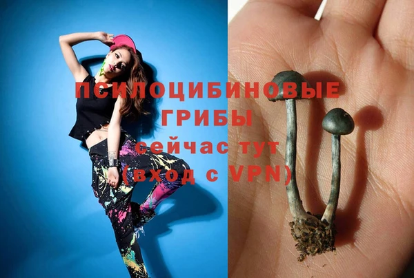 амфетамин Алексеевка
